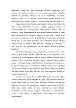 Referāts 'Starptautiskās cilvēktiesības', 3.