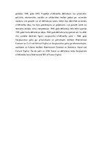 Referāts 'Starptautiskās cilvēktiesības', 5.