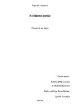 Referāts 'Košļājamā gumija', 1.