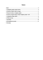 Referāts 'Košļājamā gumija', 2.