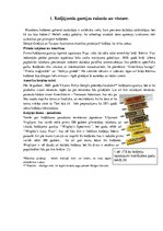 Referāts 'Košļājamā gumija', 4.