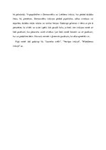 Referāts 'Izstāžu/gadatirgu raksturojums un tendences Rīgā', 7.