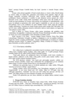 Referāts 'Eiro un tā ieviešana', 20.