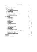 Biznesa plāns 'Biznesa plāns kafejnīcai "Pankūkas" Rēzeknē', 5.