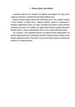 Biznesa plāns 'Biznesa plāns kafejnīcai "Pankūkas" Rēzeknē', 7.