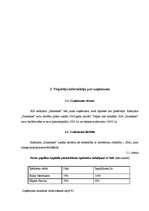 Biznesa plāns 'Biznesa plāns kafejnīcai "Pankūkas" Rēzeknē', 8.