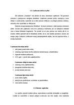 Biznesa plāns 'Biznesa plāns kafejnīcai "Pankūkas" Rēzeknē', 10.