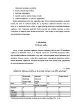 Biznesa plāns 'Biznesa plāns kafejnīcai "Pankūkas" Rēzeknē', 13.