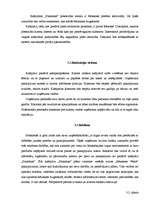 Biznesa plāns 'Biznesa plāns kafejnīcai "Pankūkas" Rēzeknē', 15.