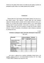 Biznesa plāns 'Biznesa plāns kafejnīcai "Pankūkas" Rēzeknē', 17.