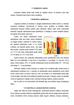 Referāts 'Infrasarkano staru saunu terapija', 6.