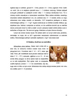 Referāts 'Infrasarkano staru saunu terapija', 10.