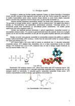 Referāts 'Fitnesa fizioloģija', 4.