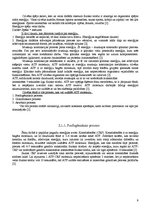 Referāts 'Fitnesa fizioloģija', 8.