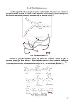Referāts 'Fitnesa fizioloģija', 9.