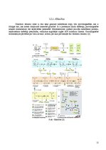 Referāts 'Fitnesa fizioloģija', 11.