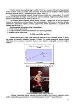 Referāts 'Fitnesa fizioloģija', 14.