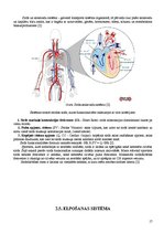 Referāts 'Fitnesa fizioloģija', 16.