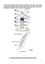 Referāts 'Fitnesa fizioloģija', 20.