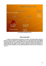 Referāts 'Fitnesa fizioloģija', 23.