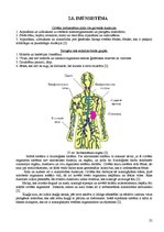 Referāts 'Fitnesa fizioloģija', 24.
