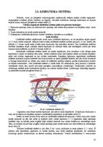 Referāts 'Fitnesa fizioloģija', 27.