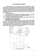 Referāts 'Fitnesa fizioloģija', 29.
