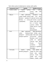 Biznesa plāns 'Ēdināšanas uzņēmuma biznesa plāns', 14.