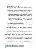 Biznesa plāns 'Ēdināšanas uzņēmuma biznesa plāns', 29.