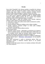 Referāts 'Uzņēmuma "Vēsma" mārketinga vides un stratēģijas analīzeun darbības plānošana', 5.