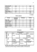Referāts 'Uzņēmuma "Vēsma" mārketinga vides un stratēģijas analīzeun darbības plānošana', 19.