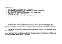 Referāts 'Projekta vadība. Nometne', 2.