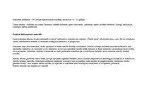 Referāts 'Projekta vadība. Nometne', 7.