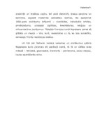 Eseja 'Napoleona Bonaparta veiksmes priekšnosacījumi', 3.