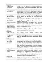 Konspekts 'Risku un galveno problēmu analīze veikalam', 2.