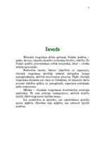 Paraugs 'Aerobikas kombinācija', 3.