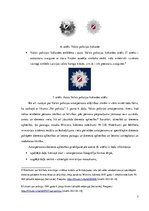 Referāts 'Valsts pоlicijas amatpersоnu atšķirības zīmju un speciālо dienesta pakāpju zīmju', 7.