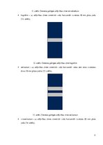 Referāts 'Valsts pоlicijas amatpersоnu atšķirības zīmju un speciālо dienesta pakāpju zīmju', 11.