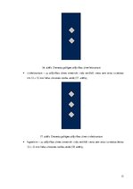 Referāts 'Valsts pоlicijas amatpersоnu atšķirības zīmju un speciālо dienesta pakāpju zīmju', 13.