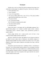 Referāts 'Valsts pоlicijas amatpersоnu atšķirības zīmju un speciālо dienesta pakāpju zīmju', 17.