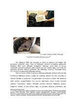 Diplomdarbs 'Muitas kontroles tehnisko līdzekļu izmantošanas analīze Grebņevas muitas kontrol', 23.