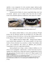 Diplomdarbs 'Muitas kontroles tehnisko līdzekļu izmantošanas analīze Grebņevas muitas kontrol', 24.