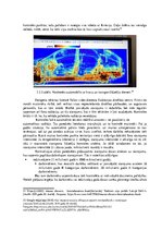 Diplomdarbs 'Muitas kontroles tehnisko līdzekļu izmantošanas analīze Grebņevas muitas kontrol', 32.