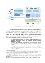 Diplomdarbs 'Muitas kontroles tehnisko līdzekļu izmantošanas analīze Grebņevas muitas kontrol', 42.