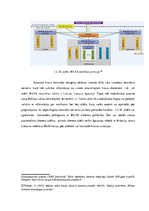 Diplomdarbs 'Muitas kontroles tehnisko līdzekļu izmantošanas analīze Grebņevas muitas kontrol', 44.