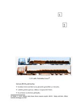 Diplomdarbs 'Muitas kontroles tehnisko līdzekļu izmantošanas analīze Grebņevas muitas kontrol', 45.