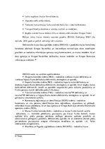 Diplomdarbs 'Muitas kontroles tehnisko līdzekļu izmantošanas analīze Grebņevas muitas kontrol', 46.