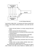Diplomdarbs 'Faktorings kā starptautisko tirdzniecības darījumu veicināšanas instruments', 13.
