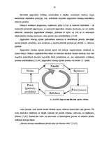 Diplomdarbs 'Faktorings kā starptautisko tirdzniecības darījumu veicināšanas instruments', 30.
