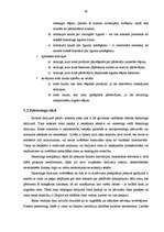 Diplomdarbs 'Faktorings kā starptautisko tirdzniecības darījumu veicināšanas instruments', 40.